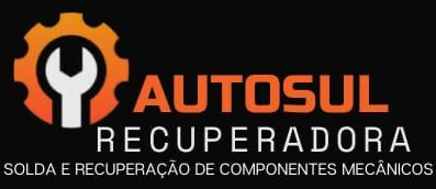 AutoSul