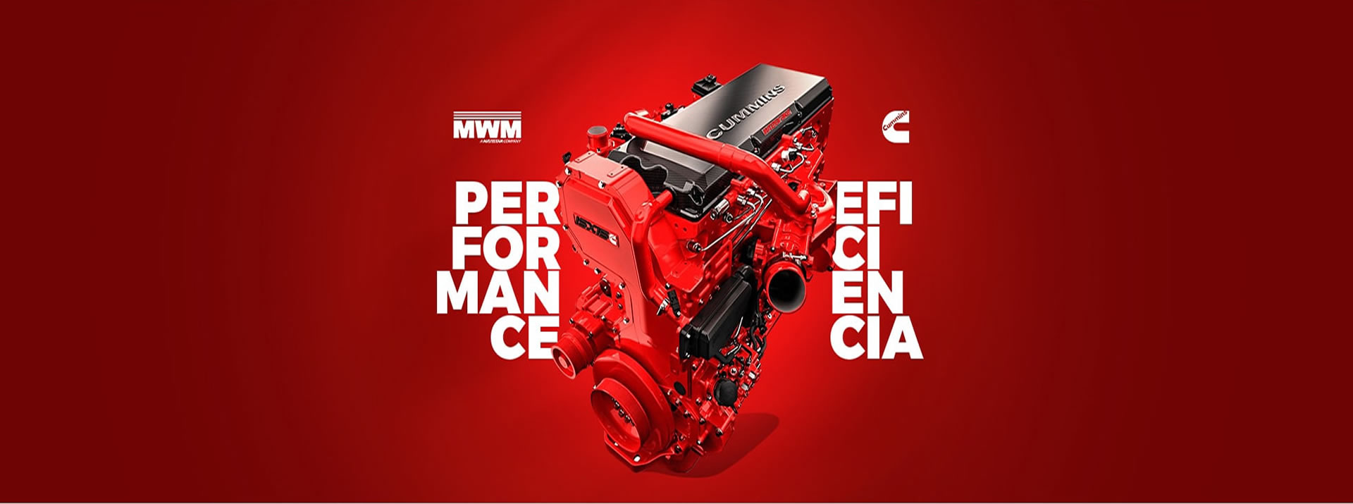 regulagem e manutencao